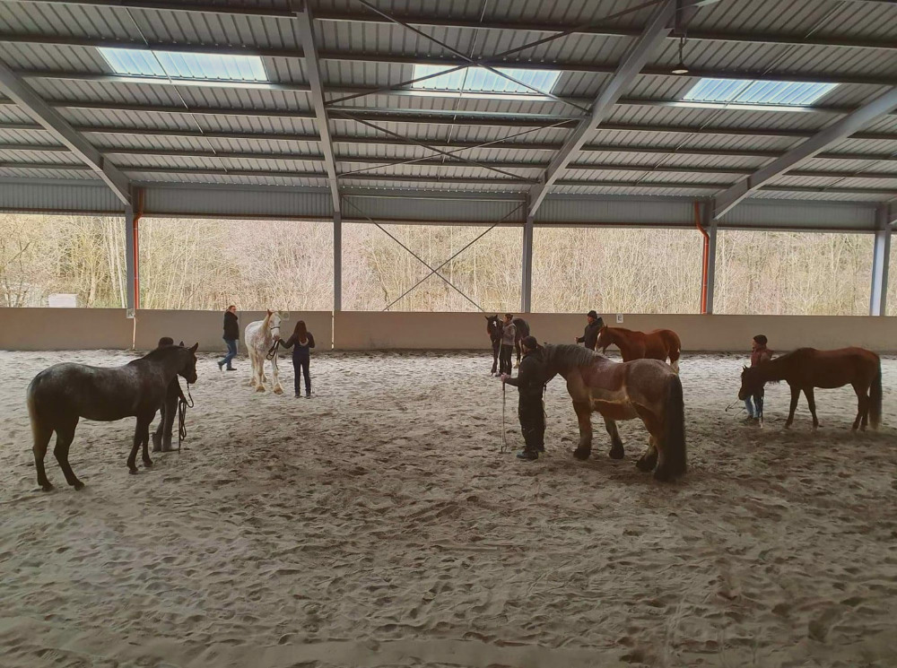 Horsemanship_Tatjana_Lichtenberger_Kurse_1